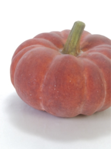 Picture for category Pumpkin