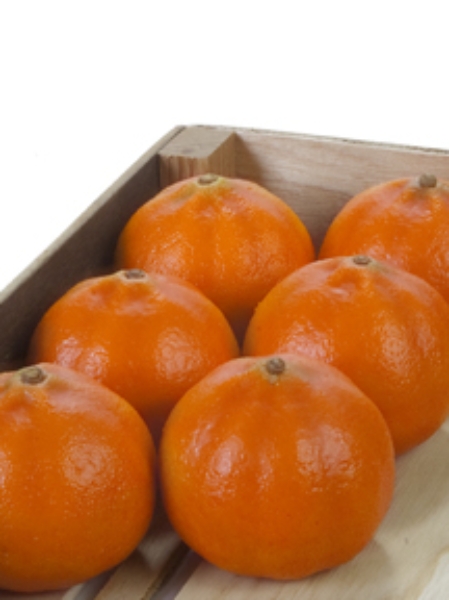 Picture for category Tangerine
