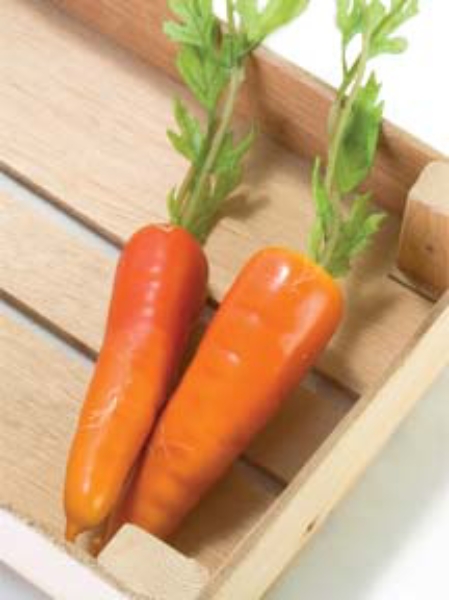 Picture for category Garden Vegetable