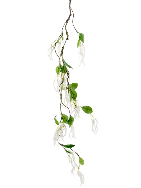 Picture of 57" HANGING AMARANTHUS VINE