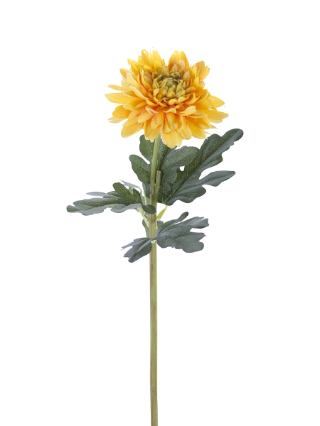 Picture of 20" CHRYSANTHEMUM