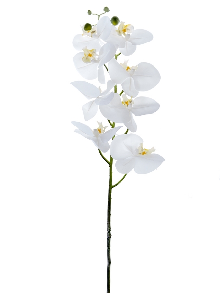 Picture of 44" PHALAENOPSIS  SPRAY