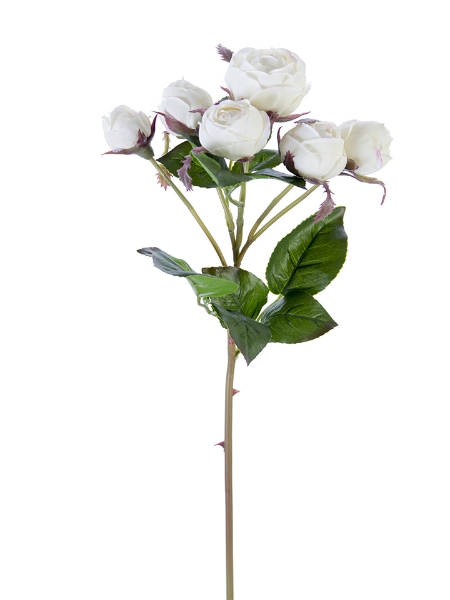 Picture of 22" ENGLISH ROSE BUDS X6