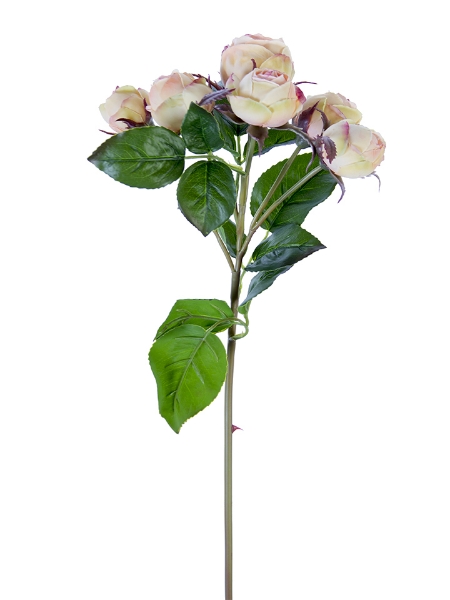 Picture of 22" ENGLISH ROSE BUDS X6