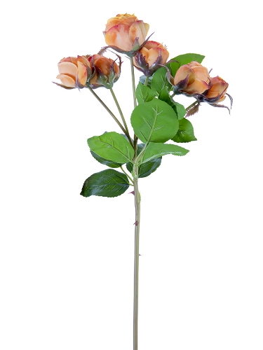 Picture of 22" FRESH TOUCH ENGLISH ROSE BUDS