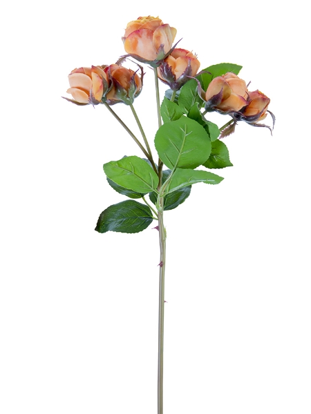 Picture of 22" ENGLISH ROSE BUDS X6