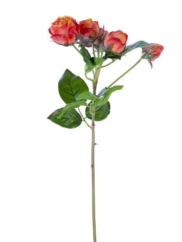 Picture of 22" FRESH TOUCH ENGLISH ROSE BUDS