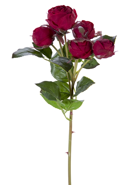 Picture of 22" ENGLISH ROSE BUDS X6