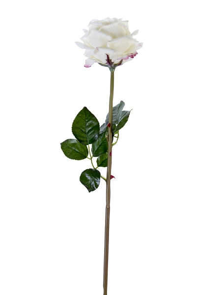 Picture of 27" HEDGEROW ROSE STEM