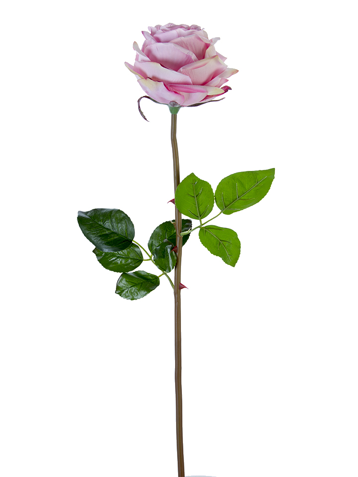 American Best. 27" HEDGEROW ROSE STEM