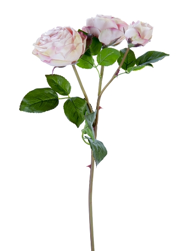 Picture of 21" FRESH TOUCH CABBAGE ROSE SPRAY