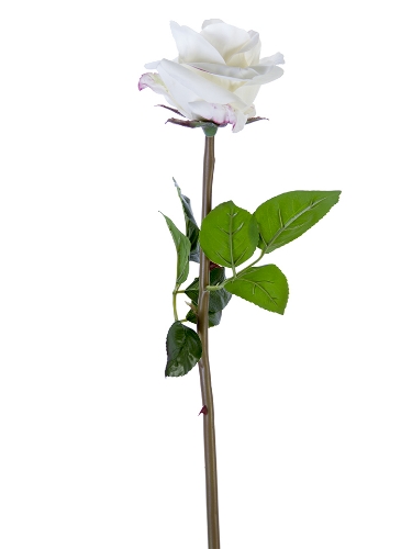 Picture of 25" FRESH TOUCH OPEN BEAUTY ROSE