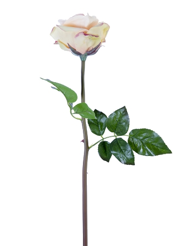 Picture of 25" FRESH TOUCH OPEN BEAUTY ROSE