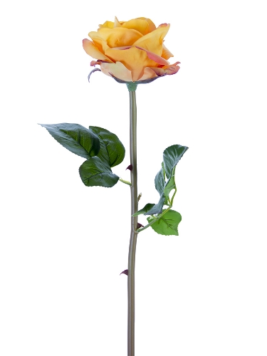 Picture of 25" FRESH TOUCH OPEN BEAUTY ROSE