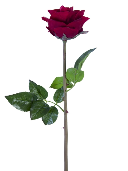 Picture of 25" OPEN BEAUTY ROSE STEM