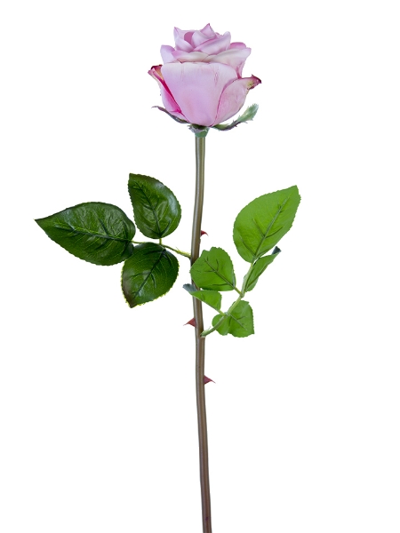 Picture of 25" BEAUTY ROSE BUD STEM