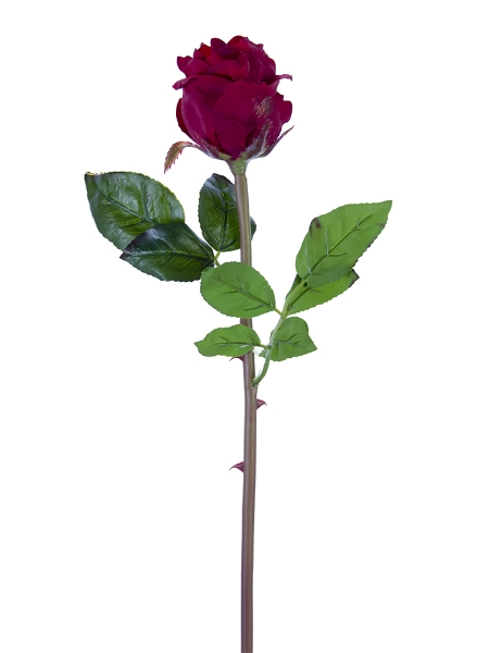 Picture of 25" BEAUTY ROSE BUD STEM