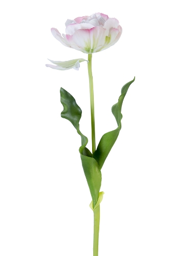 Picture of 23.5" FRESH TOUCH DOUBLE TULIP