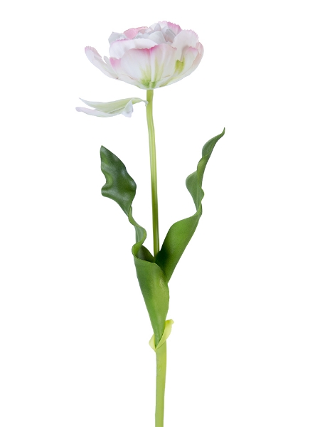 Picture of 23.5" DOUBLE TULIP STEM