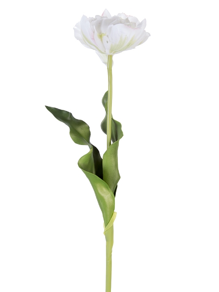 Picture of 23.5" DOUBLE TULIP STEM