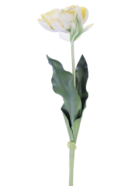 Picture of 23.5" DOUBLE TULIP STEM