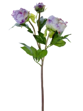 Picture of 28" FRESH TOUCH PEONY BUDS