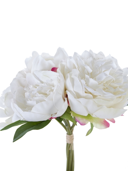 Picture of 10" PEONY BUNDLE 5F 1B