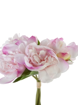 Picture of 10" FRESH TOUCH PEONY BUNDLE