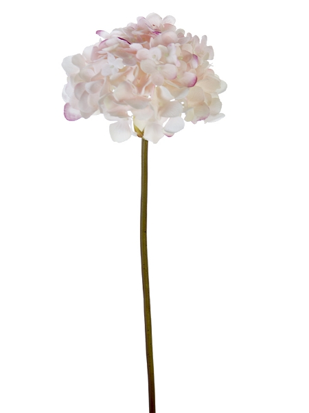 Picture of 21" GARDEN HYDRANGEA