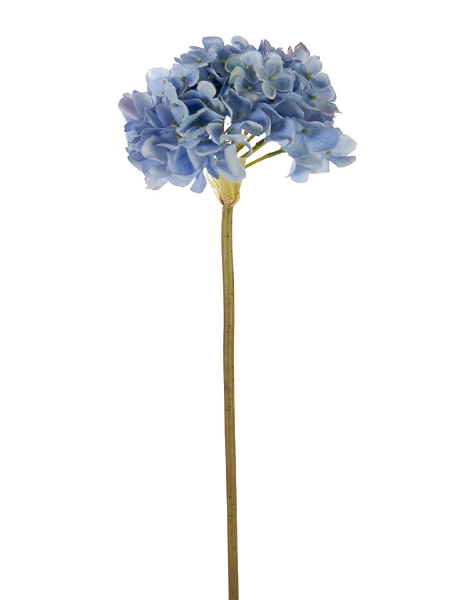 Picture of 21" GARDEN HYDRANGEA