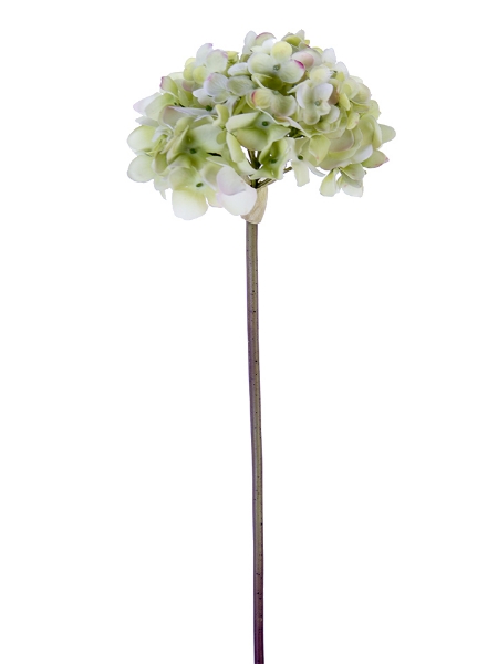 Picture of 21" GARDEN HYDRANGEA