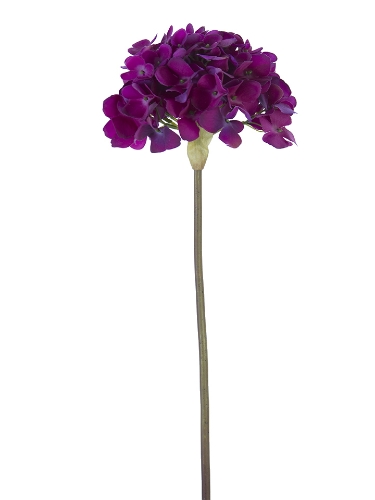 Picture of 21" FRESH TOUCH GARDEN HYDRANGEA