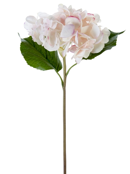 Picture of 22" GRAND HYDRANGEA