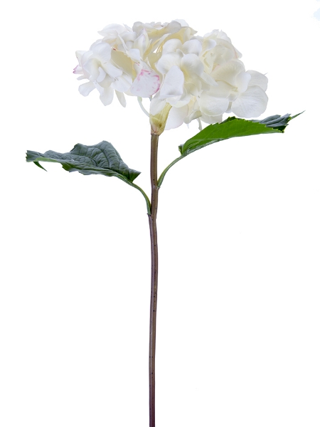 Picture of 22" GRAND HYDRANGEA