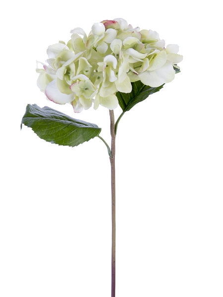 Picture of 22" GRAND HYDRANGEA