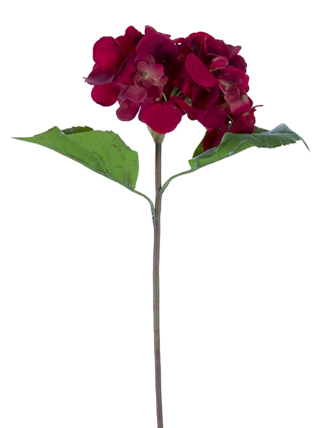 Picture of 22" GRAND HYDRANGEA