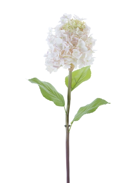 Picture of 25" CONE HYDRANGEA STEM