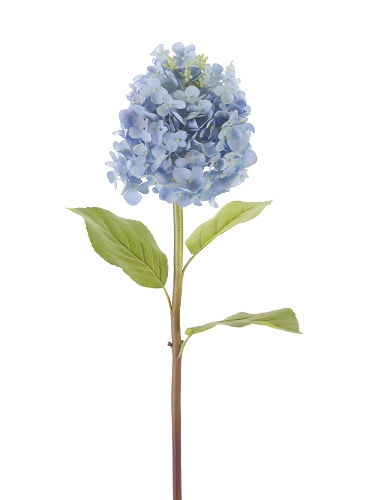 Picture of 25" FRESH TOUCH CONE HYDRANGEA
