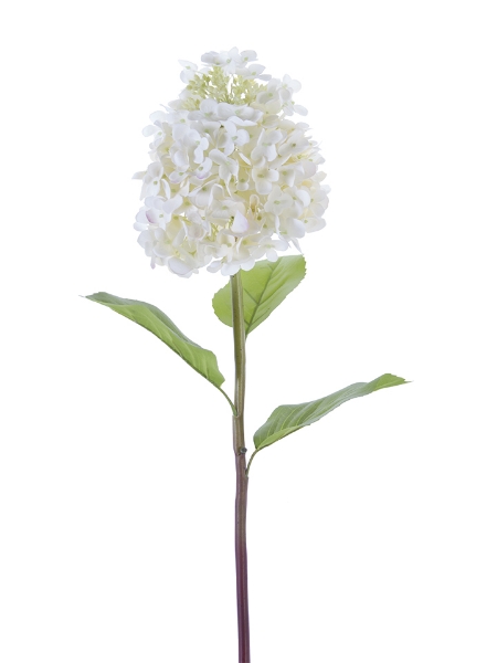 Picture of 25" CONE HYDRANGEA STEM