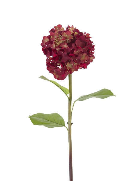 Picture of 25" CONE HYDRANGEA STEM