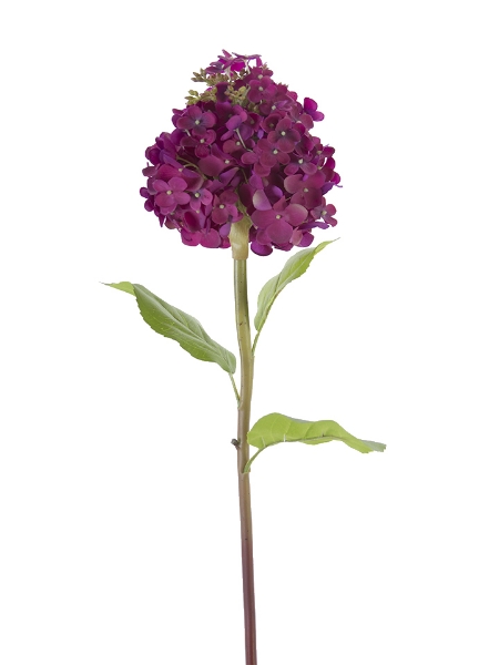 Picture of 25" CONE HYDRANGEA STEM