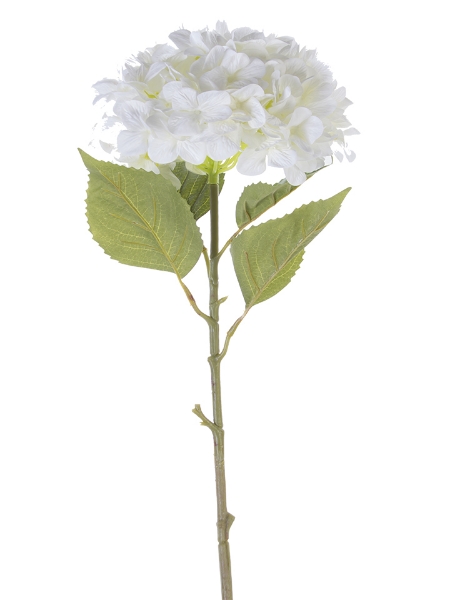 Picture of 44" COLLOSAL HYDRANGEA (12"D)