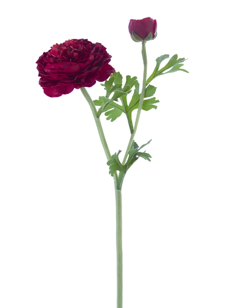 Picture of 22"BUTTER CUP RANUNCULUS SPRAY