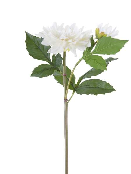 Picture of 21" DAHLIA 1F1B