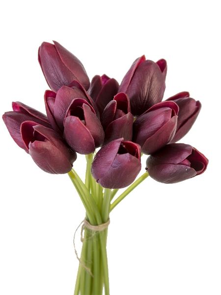 Picture of 9.5"  TULIP BUNDLE X 12