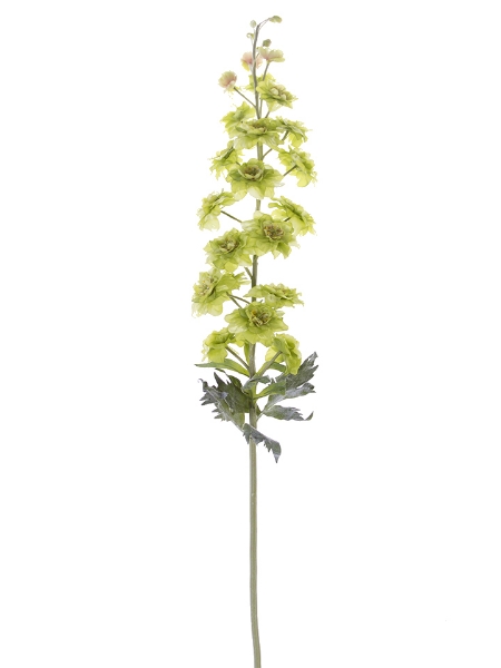 Picture of 53" DELPHINIUM