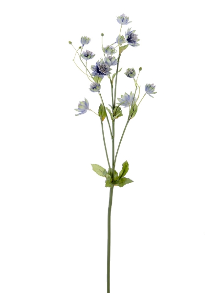 Picture of 28" MONEYWORT FLOWER SPRAY