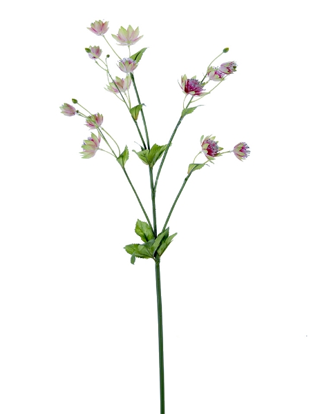 Picture of 28" MONEYWORT FLOWER SPRAY