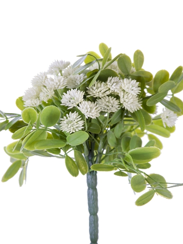 Picture of 9" CLOVER FLOWER BUSH