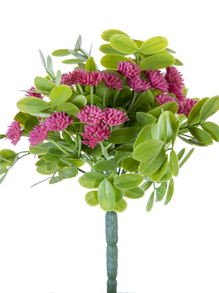 Picture of 9" CLOVER FLOWER BUSH